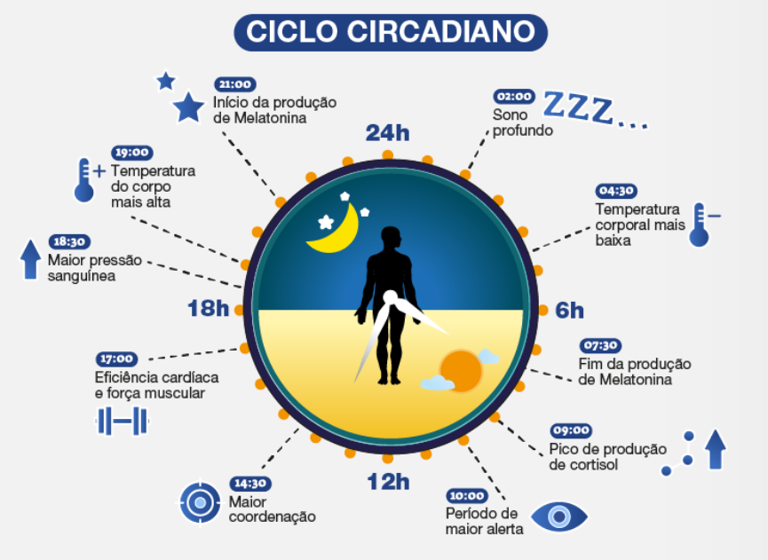 Infográfico ilustrando o ciclo circadiano ao longo de 24 horas, com variações na produção de melatonina, cortisol, temperatura corporal, pressão sanguínea e níveis de alerta durante o dia e a noite.