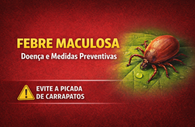 Febre Maculosa: Saiba sobre a Doença e suas Medidas Preventivas